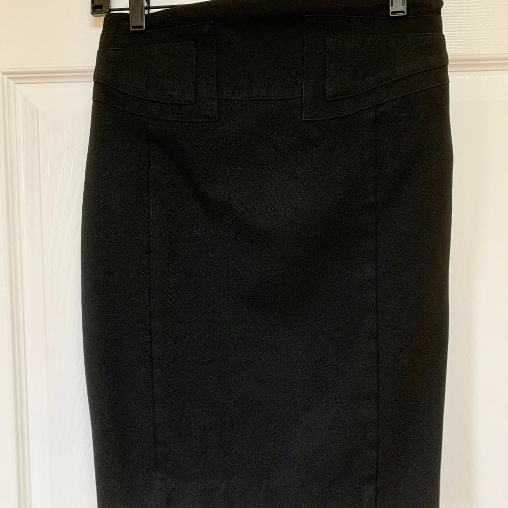 Express Pencil Skirt